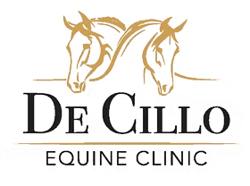 De Cillo Equine Clinic