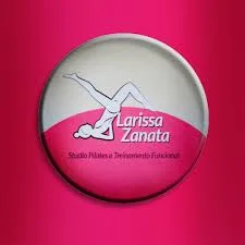 Marca Larissa Zanata Studio Pilates e Treinamento Funcional